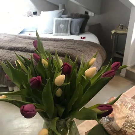 Appartement Acadamis *