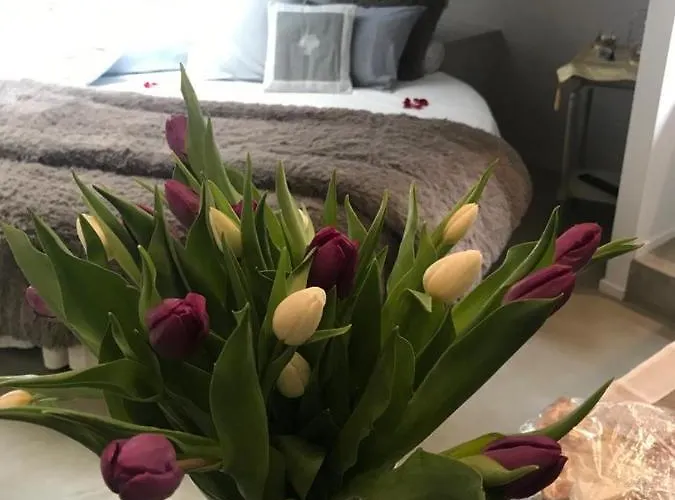 Apartament Acadamis *